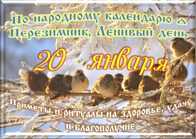 Какой сегодня праздник в России и мире — 20 января - 19.01.2023, Sputnik  Южная Осетия