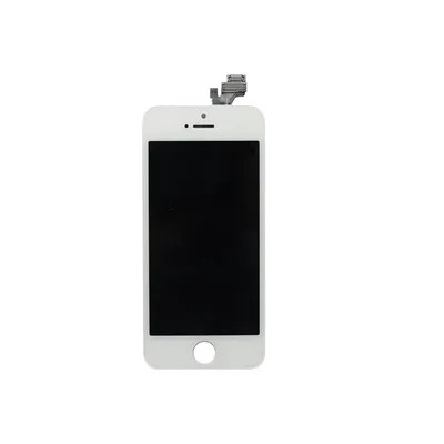 Купить iPhone 5 16GB White БУ Богородчаны 2500 грн - Объявления Apple -  iPoster.ua