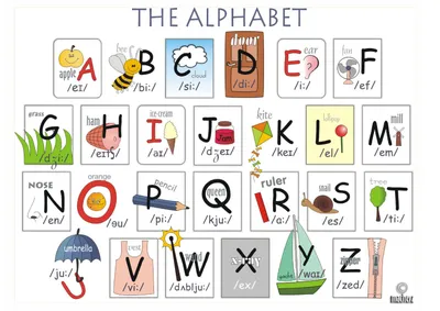 ЗАЙЧИКОВА Обучающий плакат Английский алфавит с транскрипцией в школу