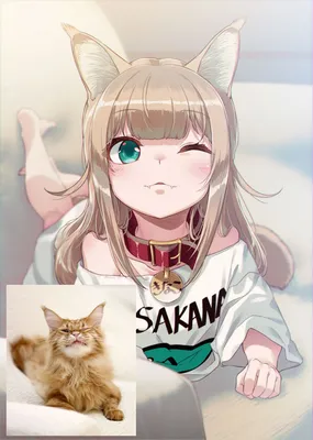 Как кошки будут выглядеть в образе аниме-девушек