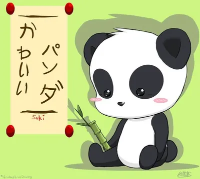 Panda kawaii girl - The World of Anime | Facebook