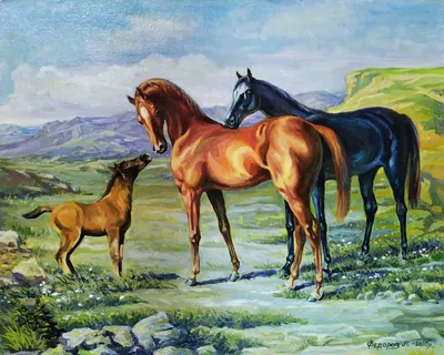 Arabian Times›› |арабские лошади| | Арабские лошади, Арабская лошадь, Лошади