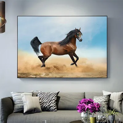 Сказочная красота – арабские и андалузские лошади (36 фото) » Невседома
