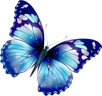 Большая голубая морфо бабочка изолирована на белом фоне Stock Photo | Adobe  Stock