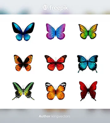 синяя бабочка изолированная на белом фоне Stock Photo | Adobe Stock