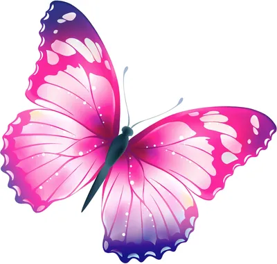 разноцветная бабочка с разноцветными полосками на ней, печать фотографий  бабочки, бабочка, белый фон картинки и Фото для бесплатной загрузки