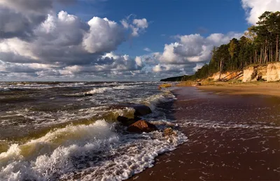 А вы знали, что в Балтийском море уже есть мертвые зоны, жизнь в которых  практически исчезла? - Delfi RUS