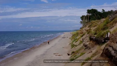 ФОТО: на берегу Балтийского моря нашли красивого, но опасного голубого  краба | Экология | ERR