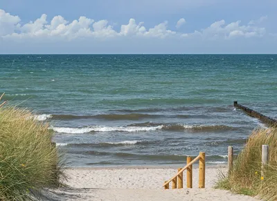 Балтийское море — отдых для «моржей». Развенчиваю главный миф про  Калининградскую область | Тимур Угулава | Путешествия с душой | Дзен