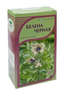 Белена черная трава, 50 г, Хорст ООО от 130 руб. в Москве