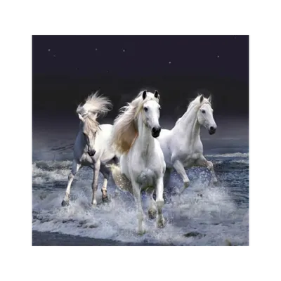 Картина маслом Белые лошади, лошади бегущие по берегу моря в  интернет-магазине Ярмарка Мастеров по цене 17000 ₽ – P22YYBY | Картины,  Красноярск - доставка по России