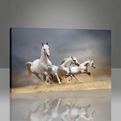 Картина Две белые лошади. Размеры: 60x40, Цена: 31250 рублей Художник  Тарасова Анна