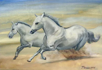 Интерьерная картина на холсте \"Белые лошади\" животные, размер 35x35 см -  купить по низкой цене в интернет-магазине OZON (510980824)