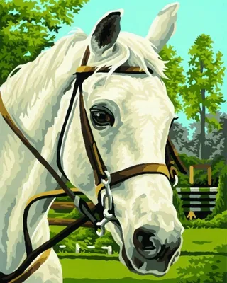 Белые лошади с длинной гривой Стоковое Фото - изображение насчитывающей  карточка, пусто: 110680796