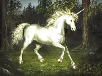 Самые известные мифы мира о белых лошадях