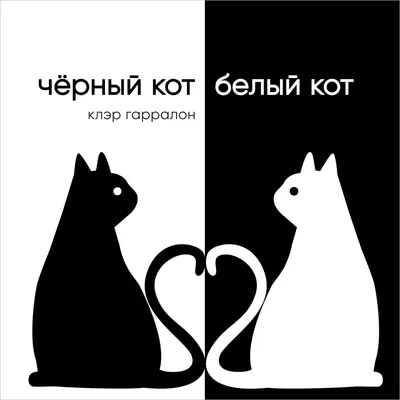 Найден белый кот, ул. Молодежная, д. 6, Подольск | Pet911.ru