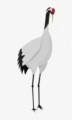 серый и белый журавль стоит у травы, картинка птица журавль, птица, кран  фон картинки и Фото для бесплатной загрузки