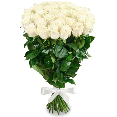 Купить Букет белых роз в эвкалиптом Cecil model №392 в Новосибирске