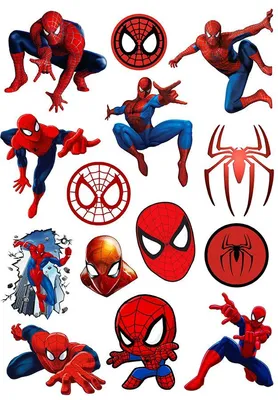 Наклейки \"Spider-Man / Человек-паук\" No.1 - купить с доставкой по выгодным  ценам в интернет-магазине OZON (841263010)