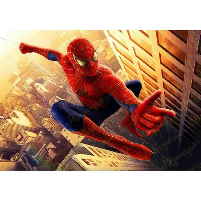 Сахарная картинка Спайдермен (spider man) Человек паук для мальчика для  торта, капкейков и пряников - купить с доставкой по выгодным ценам в  интернет-магазине OZON (1298407044)