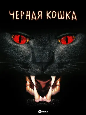 черная кошка с красными глазами, сердитая кошка черная и красная  фотография, сгенерированная помощником по генераторам. Иллюстрация штока -  иллюстрации насчитывающей картина, котенок: 279828500