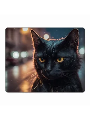 Купить Полночь Таинственная Виктория Черная Кошка Ведьма Винтаж Настенная  Картина Маслом Whimsiggoth Cat Art Плакат | Joom