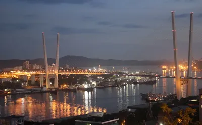 Мастер-план Владивостока предполагает обновление исторического центра города  — Твой Дальний Восток