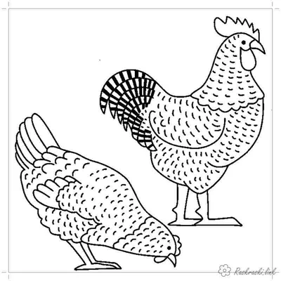 Петух и курицы на длинных ножках …» — создано в Шедевруме