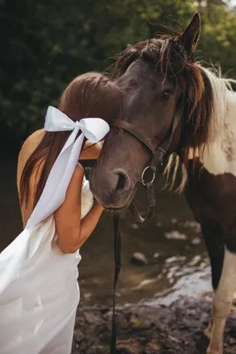 Девушка и лошадь картинки