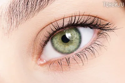 Девушка с зелеными глазами рисунок - 73 фото