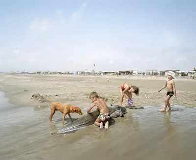 Дикий пляж» волгоградских пенсионеров в объективе фотографа