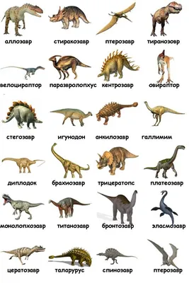 Картинки виды динозавров с названиями (28 фото) • Прикольные картинки и  юмор | Динозавры, Динозавр, Рисунки динозавров