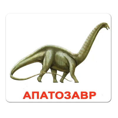 Карточки Домана Динозавры 20 карточек на русском языке (2100064096563) –  купить в интернет-магазине Ditya.com.ua цены, отзывы, фото, характеристики