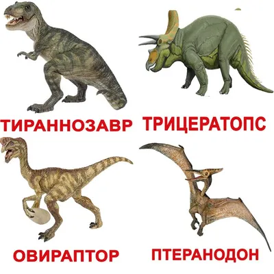 Картинки виды динозавров с названиями (28 фото) • Прикольные картинки и  юмор | Динозавр, Динозавры, Млекопитающие