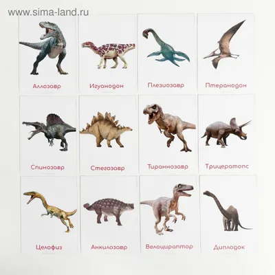Наглядные картинки — обзор книги «Динозавры. Научный комикс» | Алиорам  алтайский | Дзен