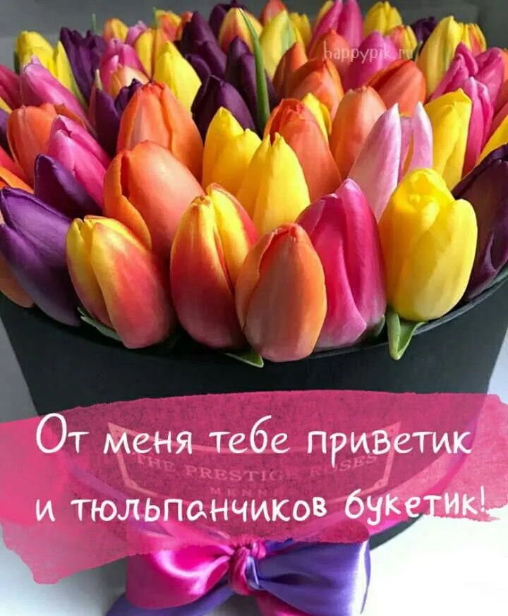 Доброе утро 8 марта картинки