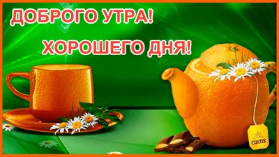 Доброе утро ! Хорошего дня и позитивного настроения!