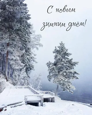 Доброе утро природа картинки зима фотографии