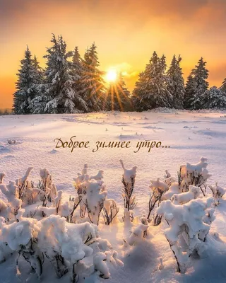 Картинка С Добрым Утром Красивая Природа Зима – Telegraph