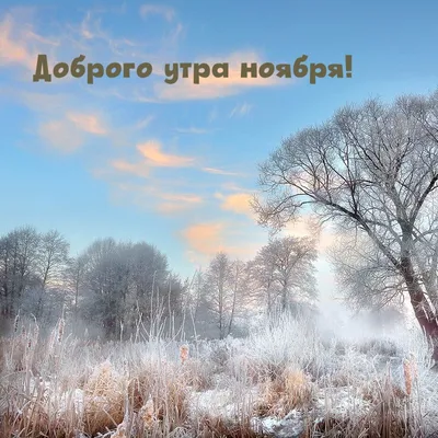 Доброе утро, друзья! Знакомьтесь! ⠀ 🌾🌻🌿🌼🌱️ Зима сказка. Представляем  вам подборку красивых зимних фотографий из нашего паблика КРАСИВЫЕ… |  Instagram