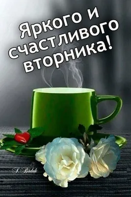 Красивая гифка \"С добрым утром Вторника! Успехов во всём!\" • Аудио от  Путина, голосовые, музыкальные