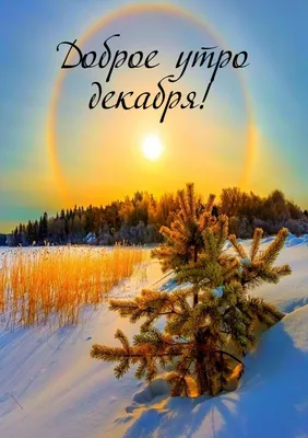 Красивые картинки с пожеланиями! Картинка открытка с пожеланиями доброго  зимнего утра, зима доброе утро!