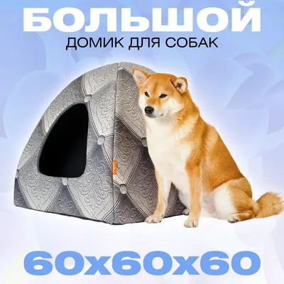 Утепленный дом для собаки с подогревом, тамбуром и верандой купить в Москве  с доставкой
