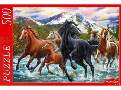 НЕУДАЧНАЯ ПАРА» ИЛИ 8 СОЧЕТАНИЙ «ВСАДНИК-ЛОШАДЬ», КОТОРЫХ СЛЕДУЕТ ИЗБЕГАТЬ  | ESU Horses