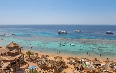 Где отдыхать в Египте зимой? Египетские отели в бухтах без ветра