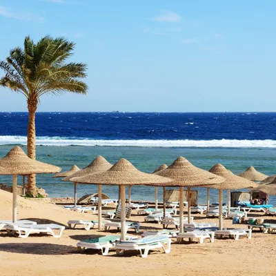 12 лучших курортов Египта для незабываемого отдыха на море в 2024 году