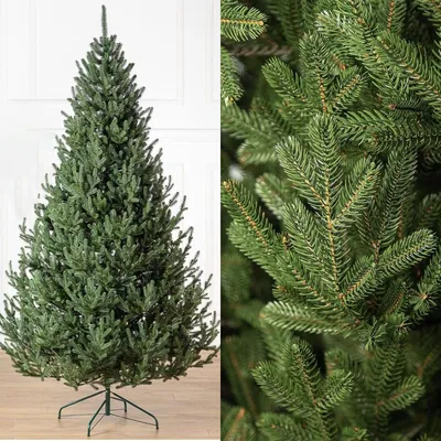 Фиолетово-зелёная ель | Purple christmas tree, Purple christmas tree  decorations, Purple christmas