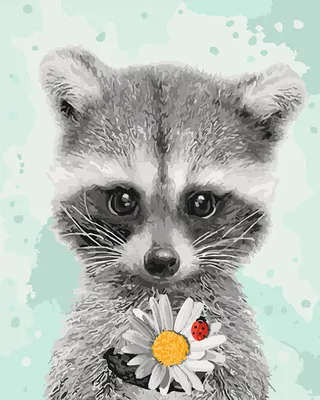 Енотиха | Raccoon illustration, Cute animal illustration, Cute drawings