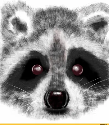 Рисунок енота в очках и галстуке с надписью raccoon. | Премиум Фото