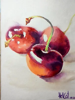 фрукты и ягоды карандашом - Пошук Google | Иллюстрации фруктов, Картины  акварелью, Фрукты